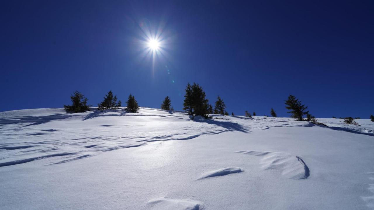 Kuhglueck Koralpe Villa Elsenbrunn ภายนอก รูปภาพ